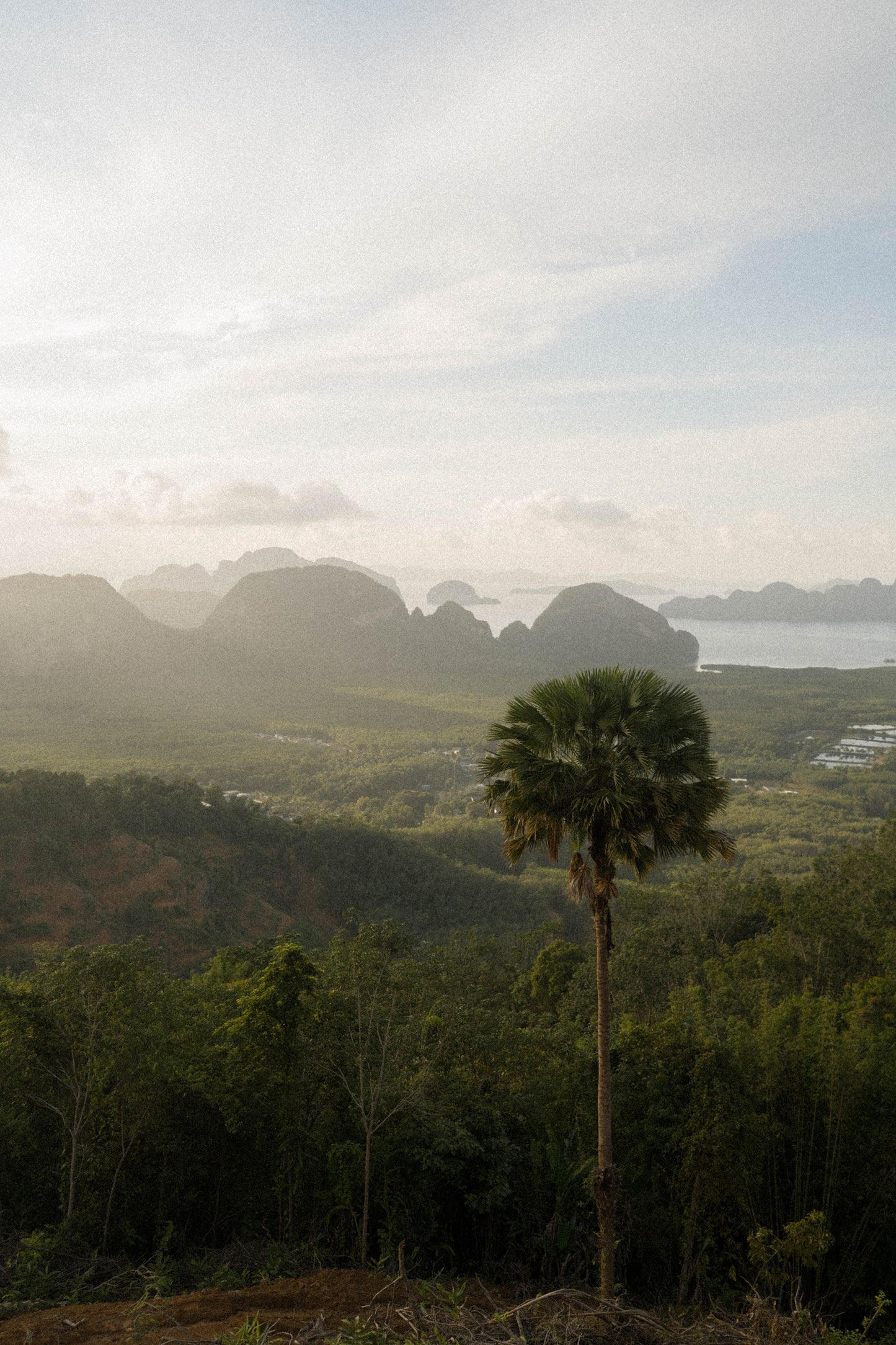 Golden Haze Premium Presets