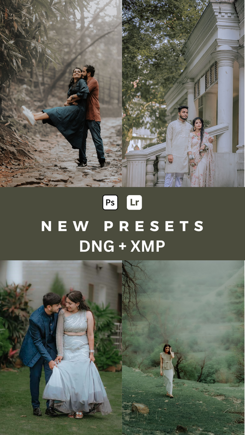 Presets Color Grading 2026