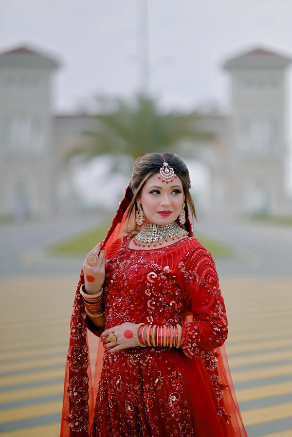 Presets Color Grading 2024