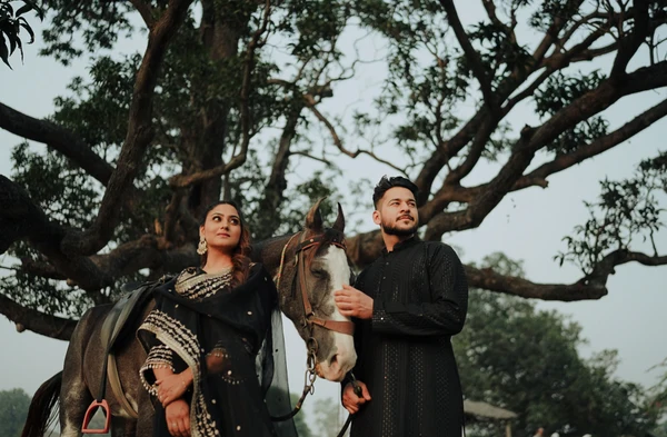 Presets Color Grading 2024