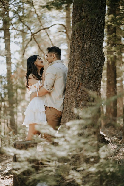 127+ Class Pre-wedding Presets