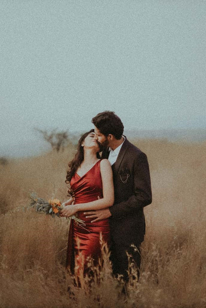 Presets Color Grading 2026