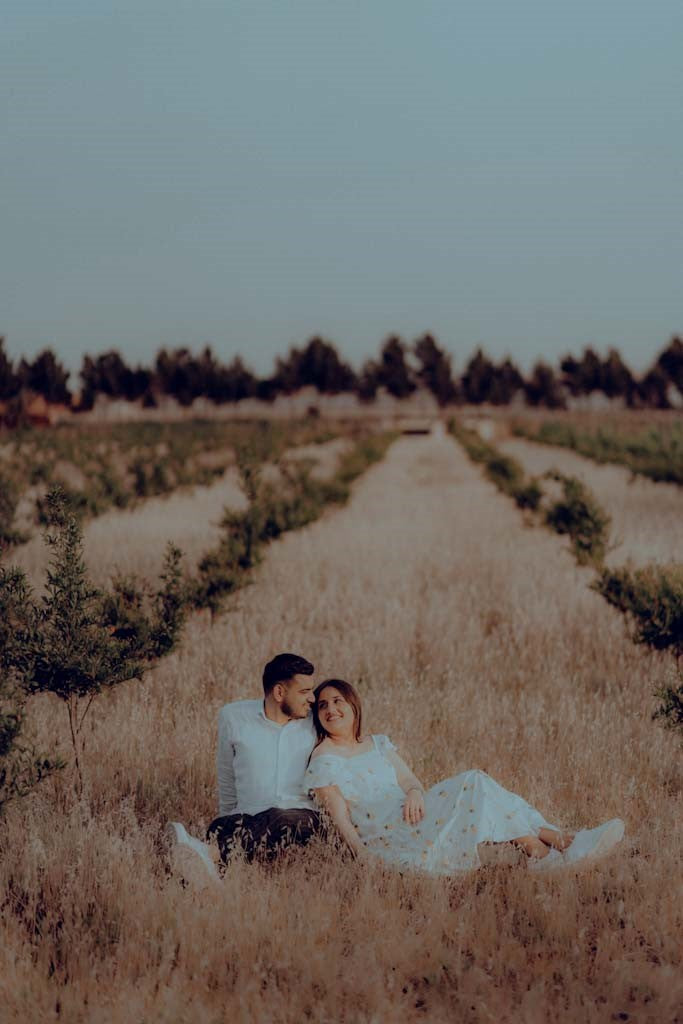 Presets Color Grading 2024