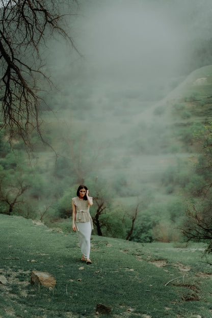 Presets Color Grading 2026